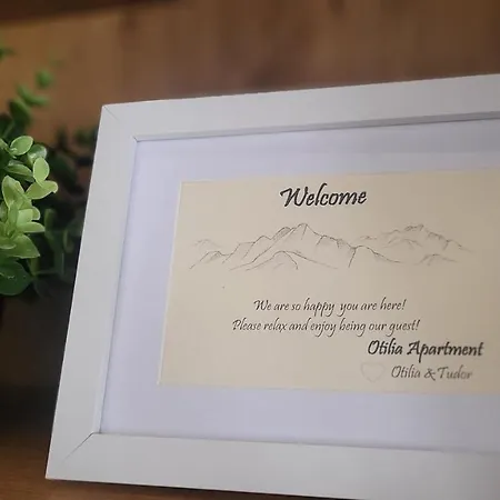 Апартаменты Otilia *