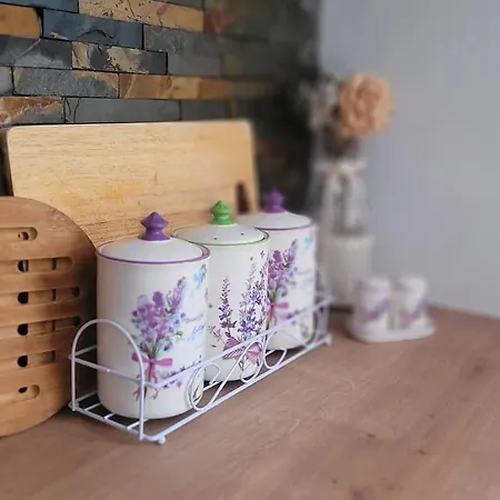Otilia Apartment *