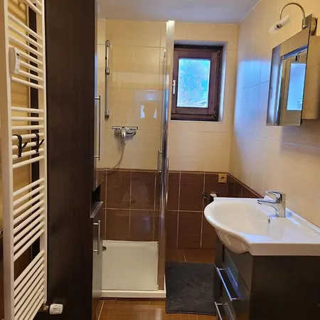 Otilia Apartament *